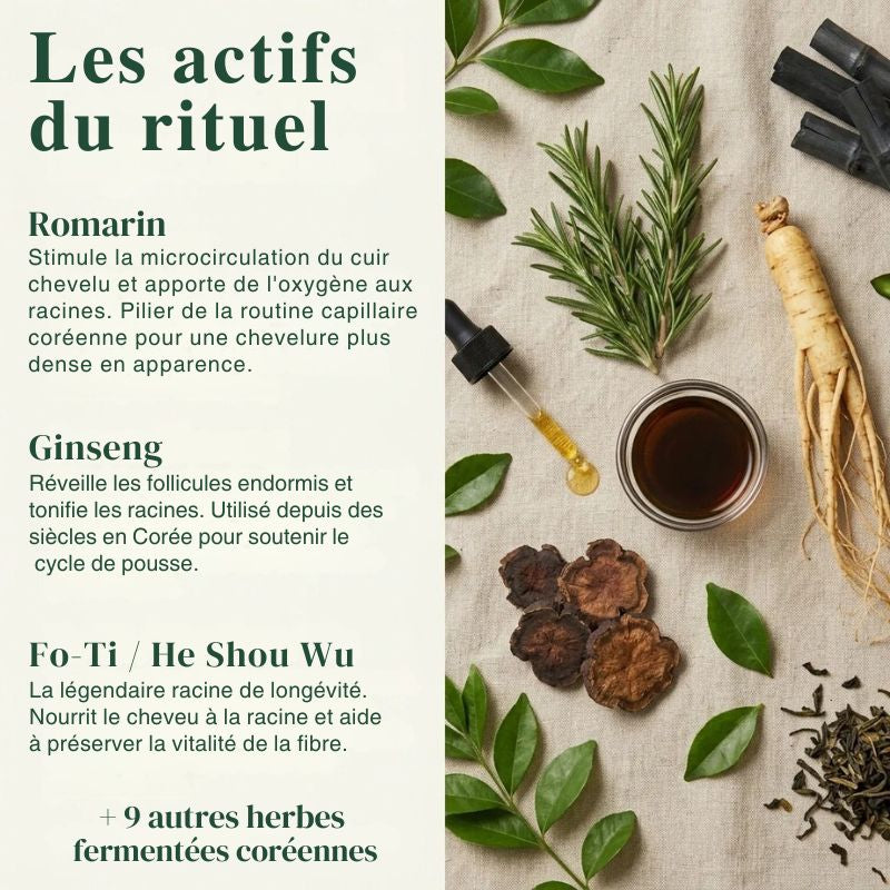 Savon Coréen Cuir Chevelu